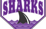 Salvi joins Murray, Schley as owner of Martha's Vineyard Sharks